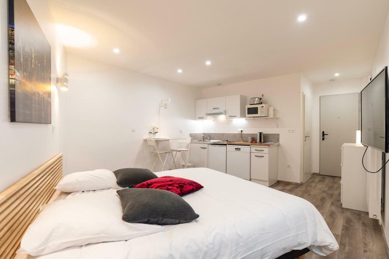 Citycosy Strasbourg - Studio Hirtz Orangerie Extérieur photo